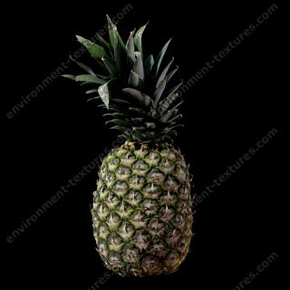 3D Scan of Pineapple